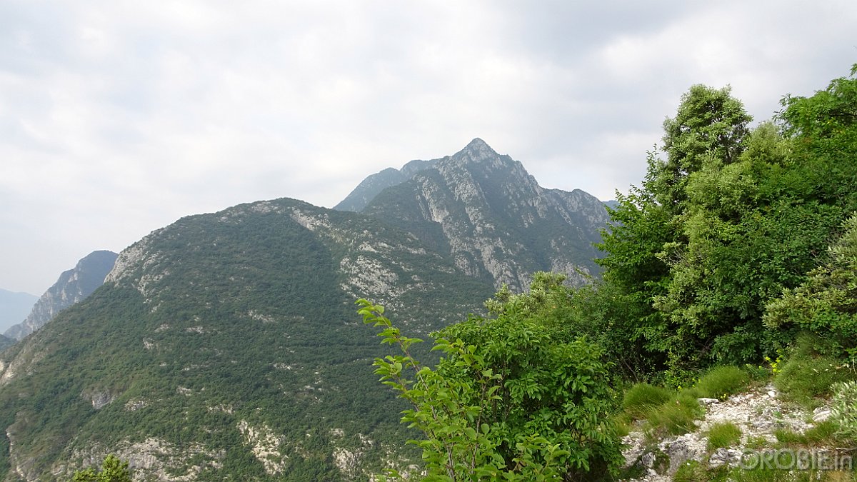 DSC04393