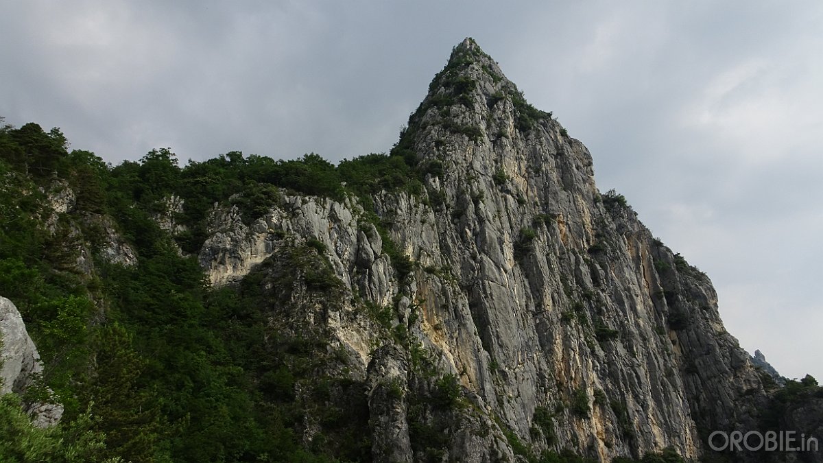 DSC04394