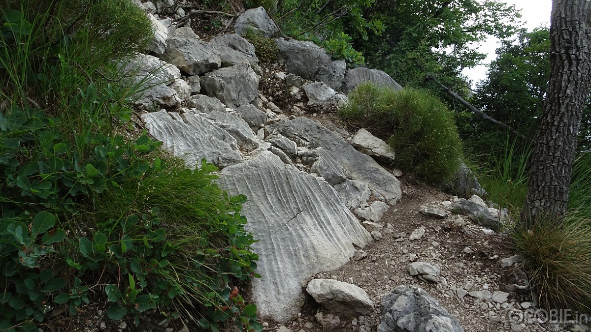 DSC04400
