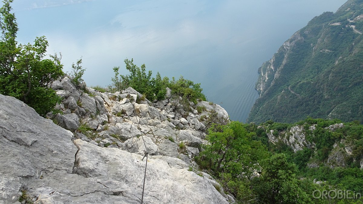 DSC04409
