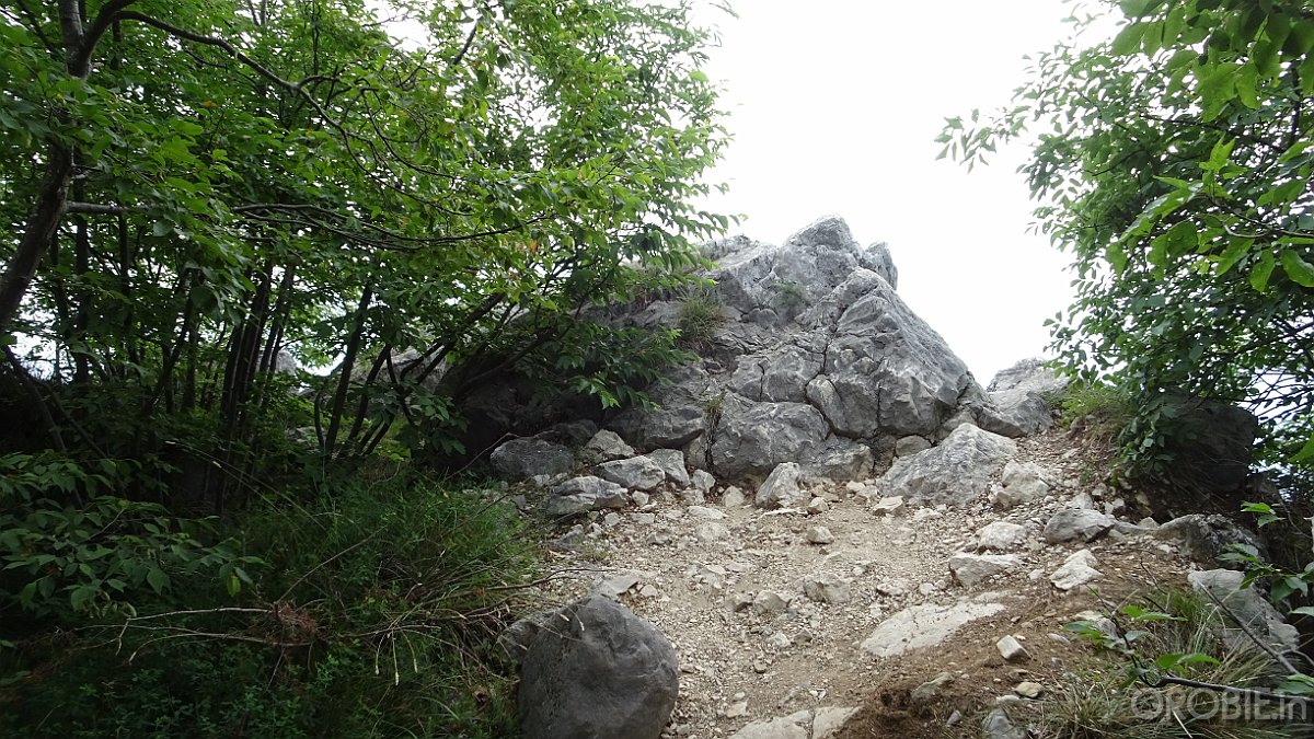 DSC04425