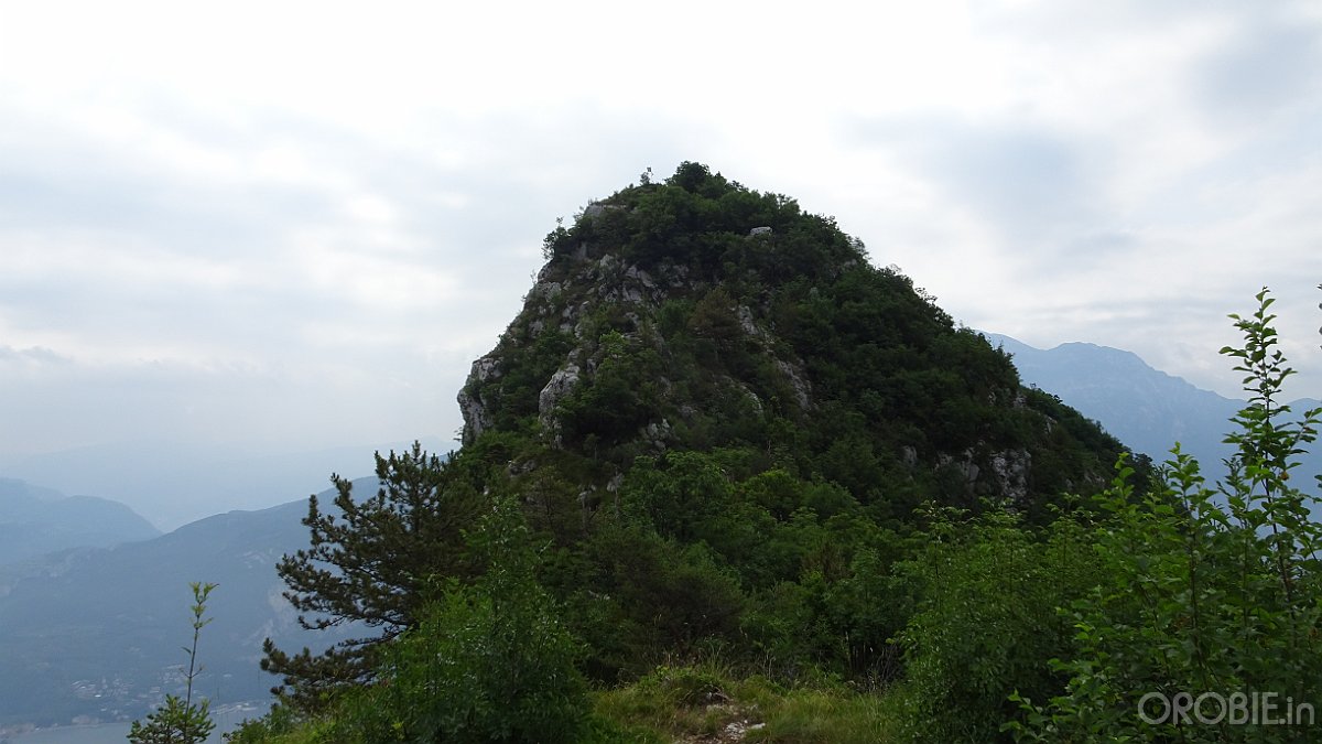 DSC04448