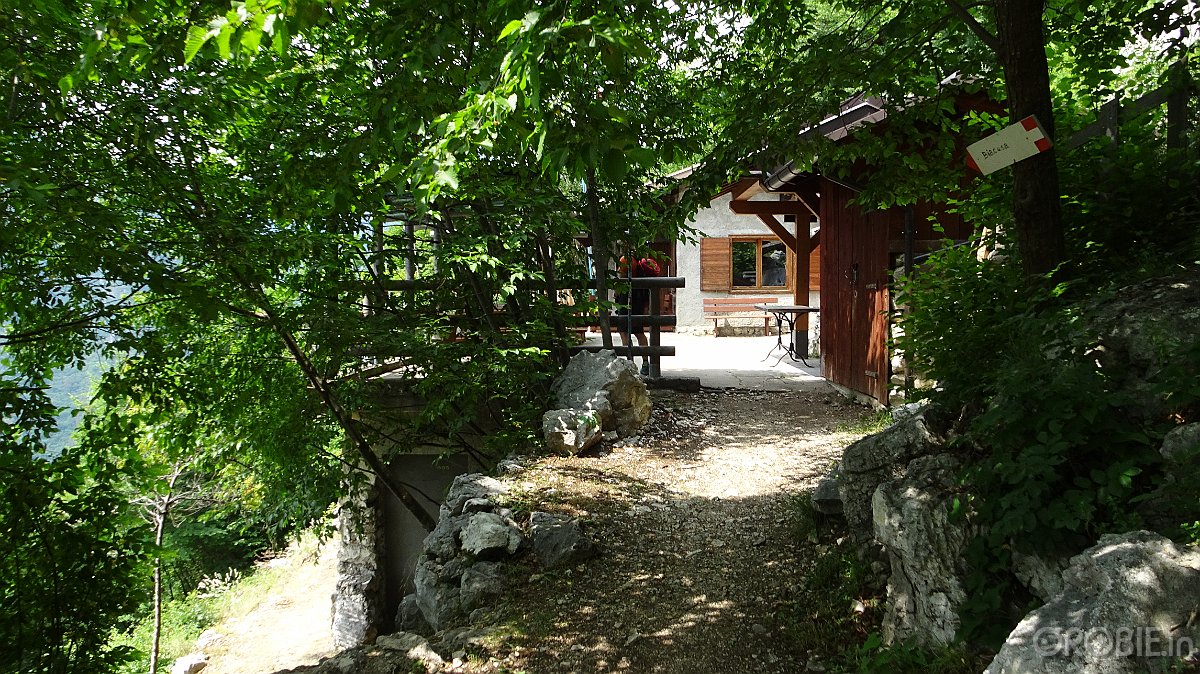 DSC04464