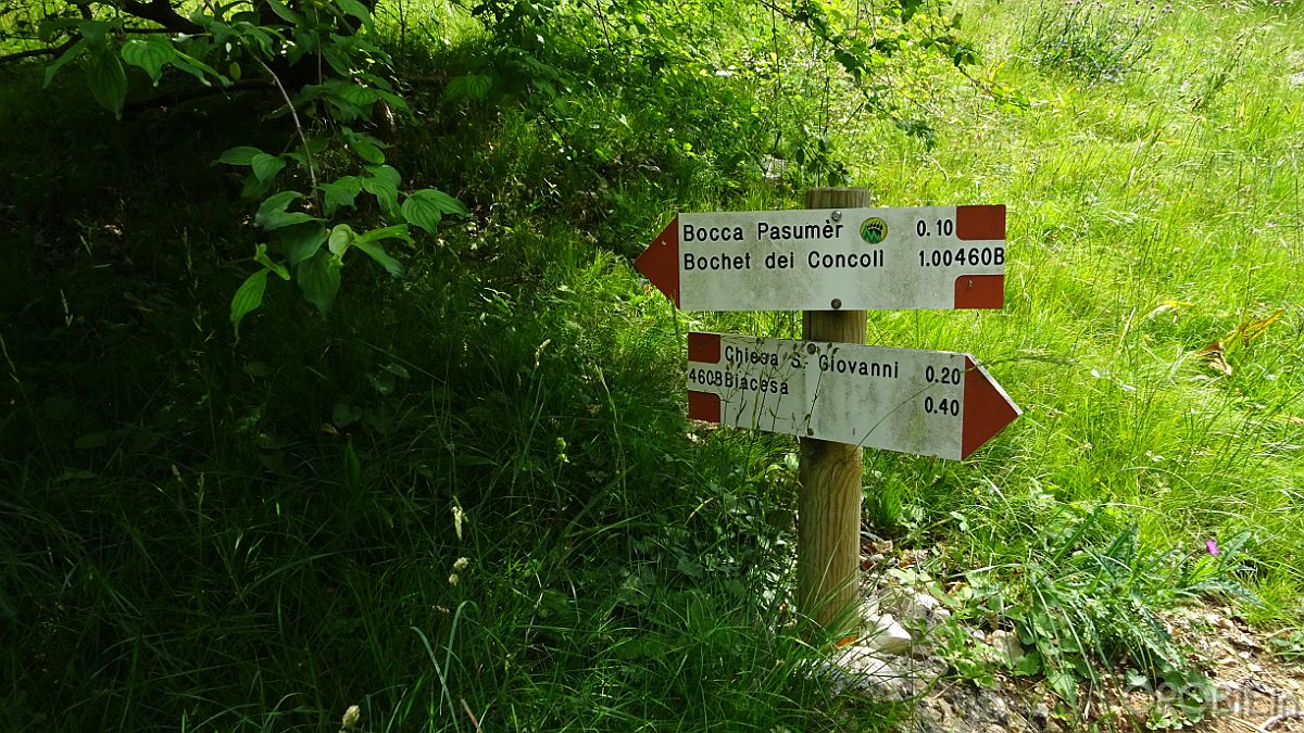 DSC04501
