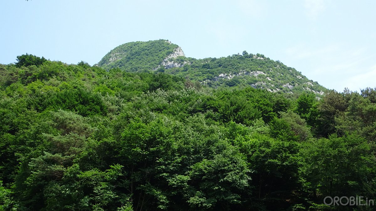 DSC04510