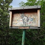DSC04386
