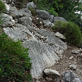DSC04400