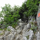 DSC04403