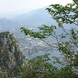 DSC04445