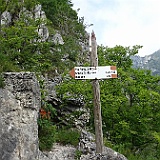 DSC04451