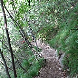 DSC04461