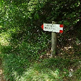 DSC04463