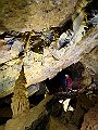 stalagmite Sala Nottole.jpg