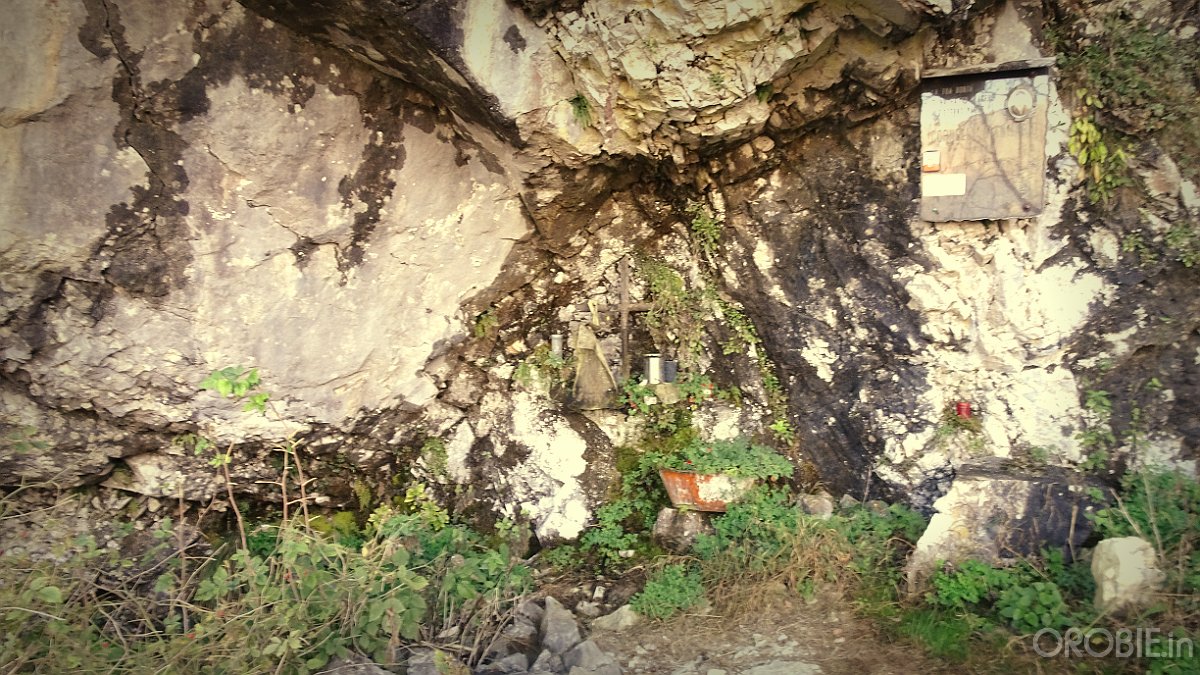 DSC00589