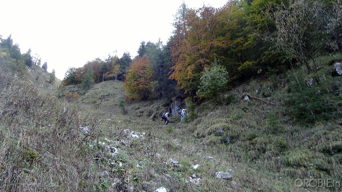 DSC00595