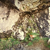 DSC00589