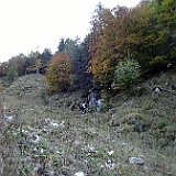 DSC00595