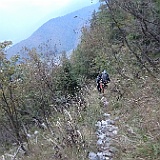 DSC00603